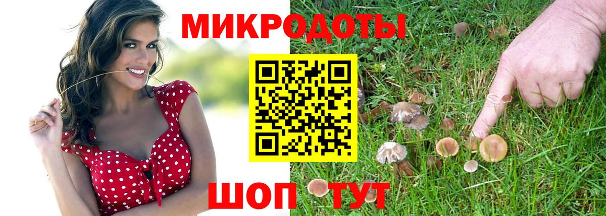 Псилоцибиновые грибы Psilocybine cubensis Ульяновск