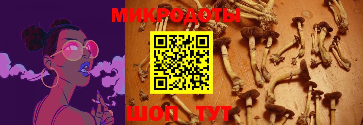 Ульяновск  Галлюциногенные грибы Psilocybe  Вход с VPN  Псилоцибиновые грибы Magic Shrooms 